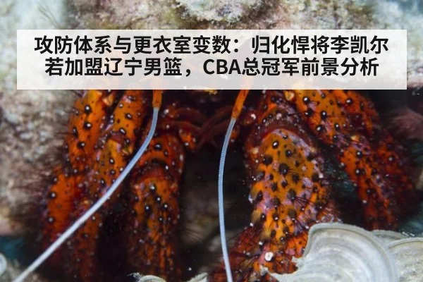 攻防体系与更衣室变数:归化悍将李凯尔若加盟辽宁男篮,CBA总冠军前景分析